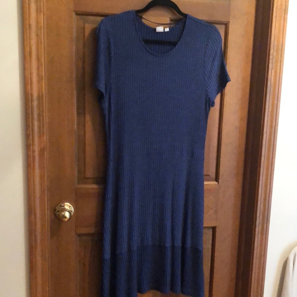 Gap Blue Block Dress